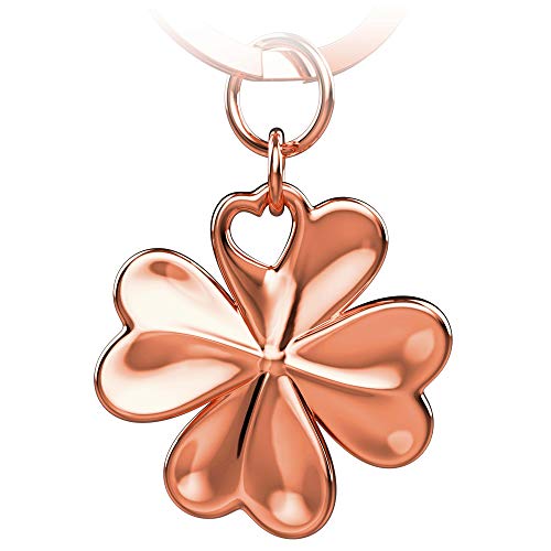 Fabach Portachiavi Portafortuna Con Quadrifoglio Shamrock – Buon Successo Prova Portafortuna – Buona Fortuna Operazione, Nuovo Lavoro – Buon Viaggio F