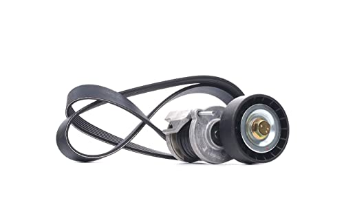Dayco Kpv262 Kit Cinghia Poly-V