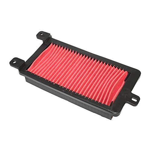 P2R (Motorizzato) Filtro Aria Scoot Adattabile Kymco 50 Agility 4T 16 Pollici 2008>, Dink 4T 2007>, Persone 4T 2006>, Super 8 4T 2009> -P2R-