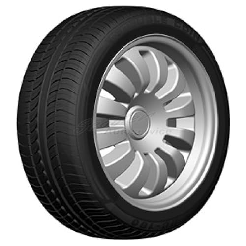 Pneumatici Dc100Xl - Double Coin - 225/40/18 Estive Gomme Nuove