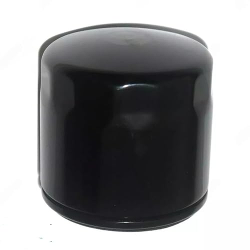 Aespares Filtro Dell'Olio Rotante Compatibile Con Royal Enfield 650 Interceptor/Gt/Super Meteor/Shotgun