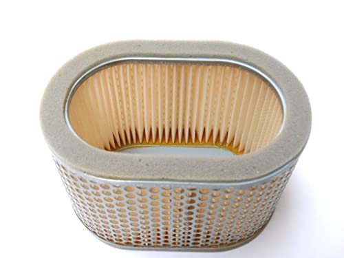 Filtro Aria Per Cagiva Raptor V-Raptor X-Raptor X-Tra 1000 Suzuki Tl 1000 S