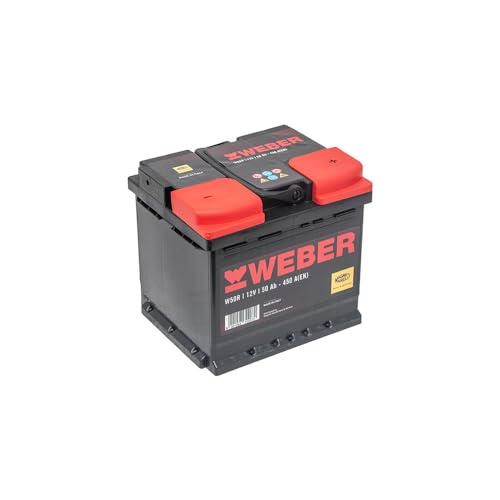 Magneti Marelli Parts & Services - Batteria Auto Weber L01, Batteria Auto 50Ah 067050450001 Al Piombo Acido Ad Elevate Prestazioni, Senza Manutenzione