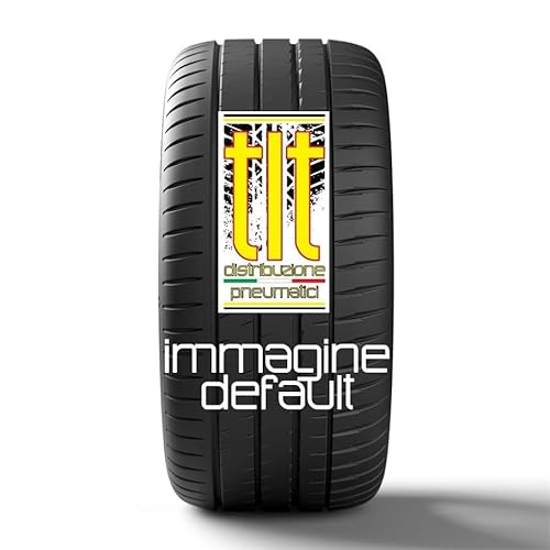 Gomme Pneumatici Westlake 195/50 R13 104101N Trailer Max