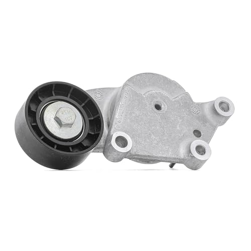 Bosch Tendicinghia Cinghia Poly-V 1 987 945 847