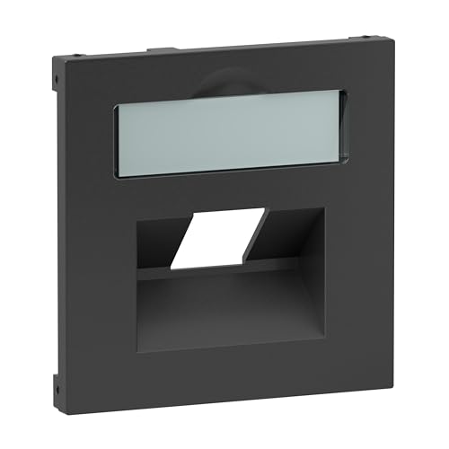 Legrand, Seano 765458 - Copertura Rj45 Per Contenitori Di Dati Di Metz, Telegärtner E Canna Da Pesca, Con Campo Per Etichettatura, Colore: Antracite L