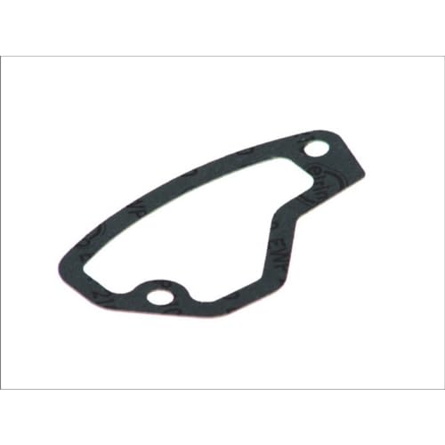 Payen Ae Italia Gp763.457 Elring,