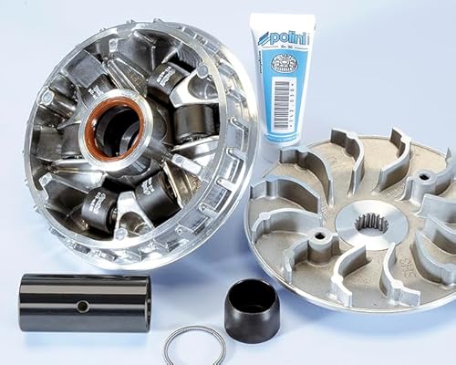 Variatore Hi-S.Honda Sh 300 Iniez.