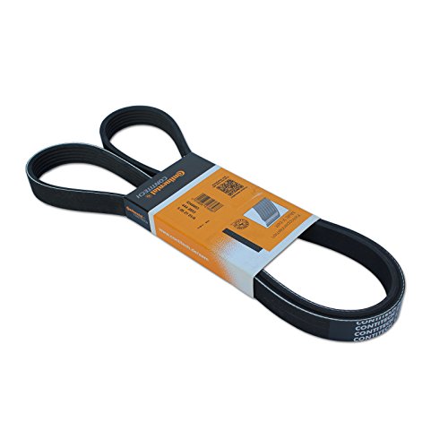 Contitech 6Pk691 Elast Cinghia Poly-V