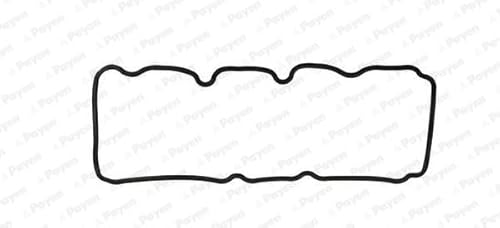 Payen Jm5302 Guarnizione Copritestata