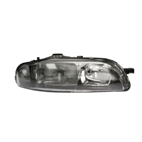 Dapa 205435152 Faro Destro