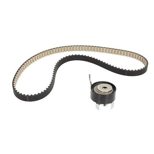 Dayco Kbio03 Kit Cinghie Distribuzione (Inoil) Fo.C-Max 12>19