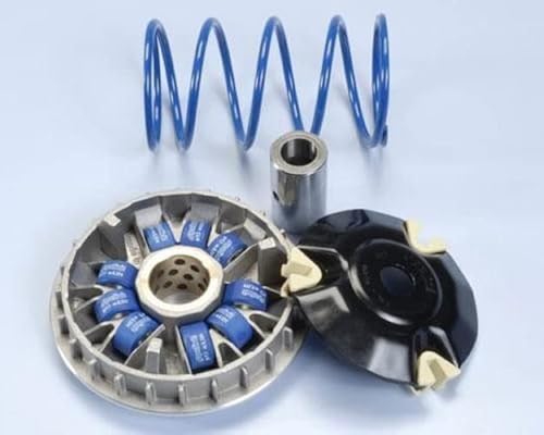 Variatore Hi-Sp.Piaggio 200/250/300 9Rul.
