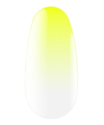Kodi Professional Polvere Per Unghie - Spray Ombre Neon Yellow -5G- Design Unghie - Applicare Glitter Effetto Colori Decorazione - Powder For Nail Art