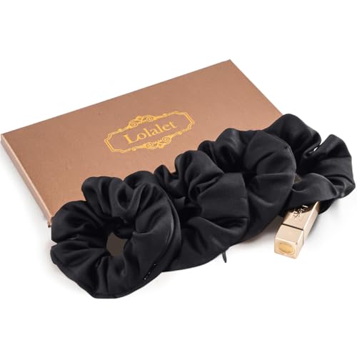 Lolalet Scrunchies Per Capelli Con Tasca Cerniera Per Riporre Piccoli Oggetti (Rossetto, Chiavi, Contanti,Ecc), Elastici Capelli Donna -4 Pezzi, Stile