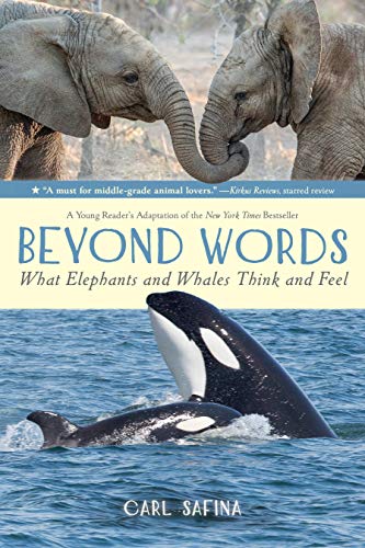 Beyond Words: What Elephants And Whales Think And Feel (A Young R: A Young Reader'S Adaptation