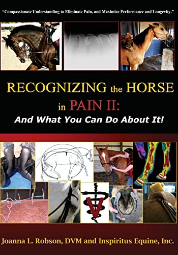 Recognizing The Horse In Pain Ii: And What You Can Do About It!