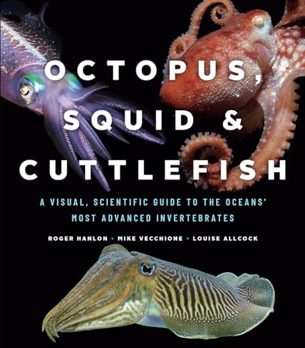 Octopus, Squid & Cuttlefish: A Visual, Scientific Guide To The Oceans' Most Advanced Invertebrates