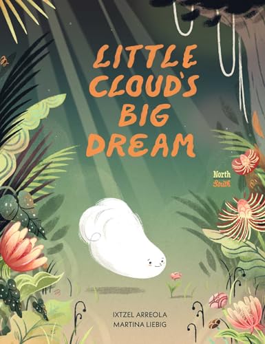 Little Cloud'S Big Dream
