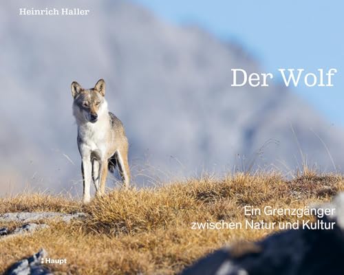 Der Wolf: Ein Grenzgänger Zwischen Natur Und Kultur