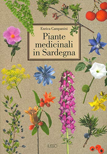 Piante Medicinali In Sardegna. Ediz. A Colori