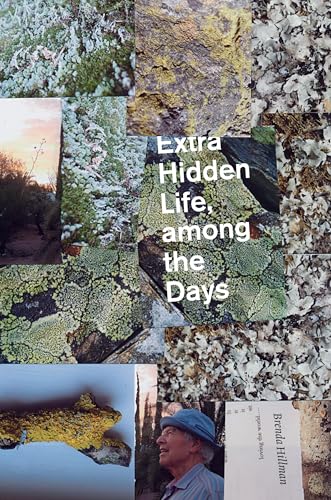 Extra Hidden Life, Among The Days