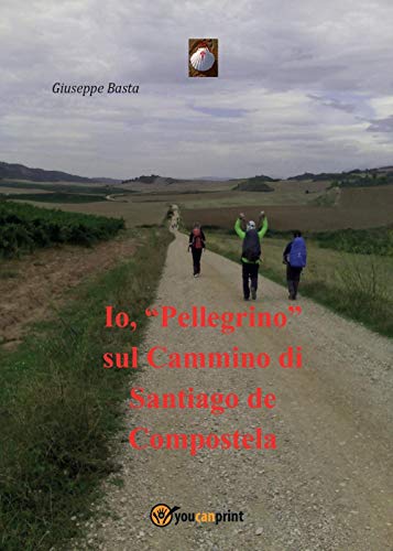 Io, "Pellegrino" Sul Cammino Di Santiago De Compostela