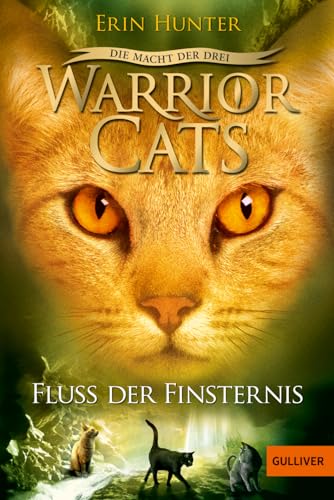Warrior Cats Staffel 3/02. Die Macht Der Drei. Fluss Der Finsternis: Staffel Iii, Band 2