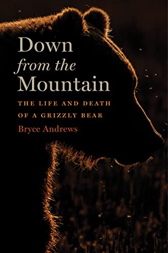 Down From The Mountain: The Life And Death Of A Grizzly Bear