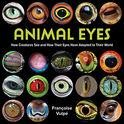 Animal Eyes: How Creatures See And How Their Eyes Have Adapted To Their World
