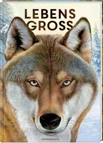 Lebensgroß: Tiere Des Waldes