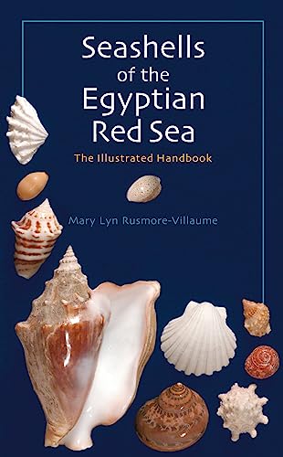 Seashells Of The Egyptian Red Sea: An Illustrated Handbook: The Illustrated Handbook