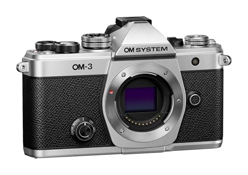 Om-3 Body Silver