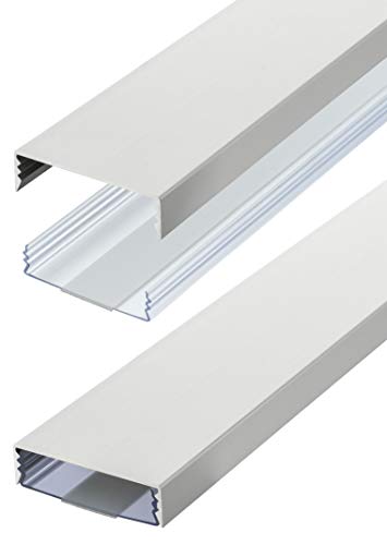 Canalina Per Cavi In Alluminio Anodizzato Color Argento Opaco, Autoadesiva, 50 Mm X 15 Mm, Per Cavi Alunovo (Lunghezza: 80 Cm)