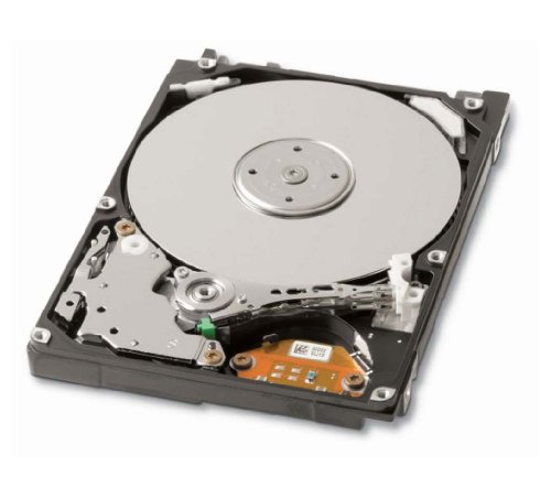 Hypertec Unità Hdd Ata100 4200Rpm Da 120 Gb Da 2,5 Pollici Per Notebook Aziendali