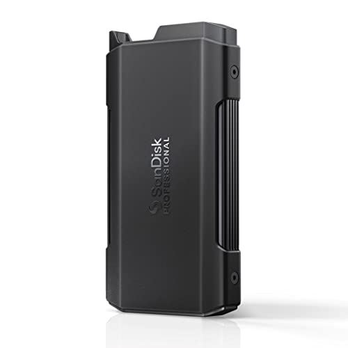 Sandisk Professionale Pro-Blade Unità Di Trasporto Solo – Usb-C, Fino A 2000Mb/S