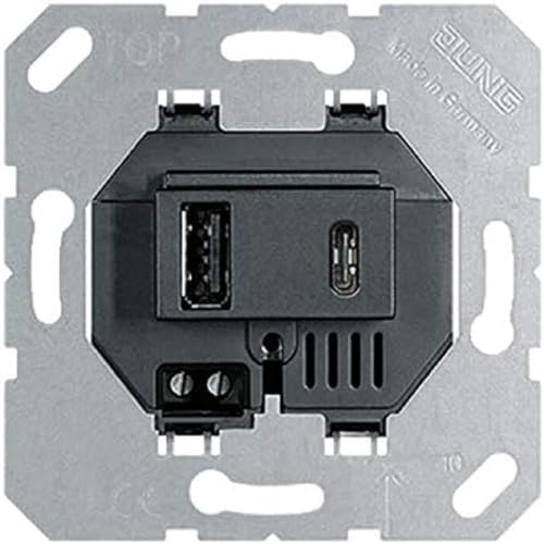 Jung Caricatore Usb 15Casw Con 2 Porte Usb Femmina: 1 X Usb Tipo A, 1 X Tipo C (Max. 3 A)
