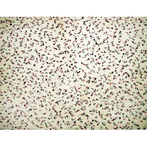 Sualsa Tappeto Donia Design Moderno Motivo Liscio (133_X_190_Cm, Avorio)