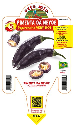 1 Pianta In Vaso Ø 14Cm Peperoncino Piccante Pimienta Da Neide Ortomio
