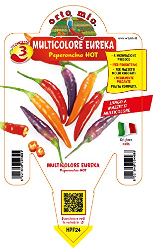 1 Pianta In Vaso Ø 14Cm Peperoncino Lungo Eureka Con Frutti Ortomio