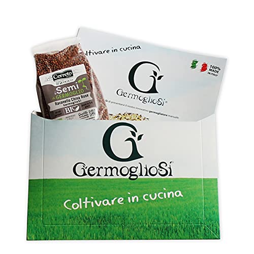Ravanello China Rose Semi Da Germoglio Selezionati Di Altissima Qualita' Formato Convenienza Da 190 Gr.