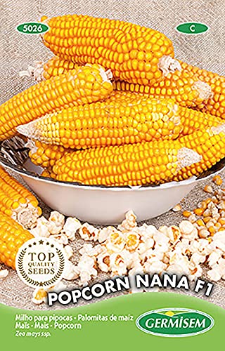 Popcorn Nana F1