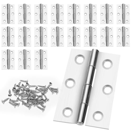 20 Cerniere Per Mobili, Cerniere Per Ante, Cerniere Inox Per Legno, Dimensioni 44Mm × 30Mm, Cerniera In Acciaio Inossidabile, Con 120 Viti, Adatte Per