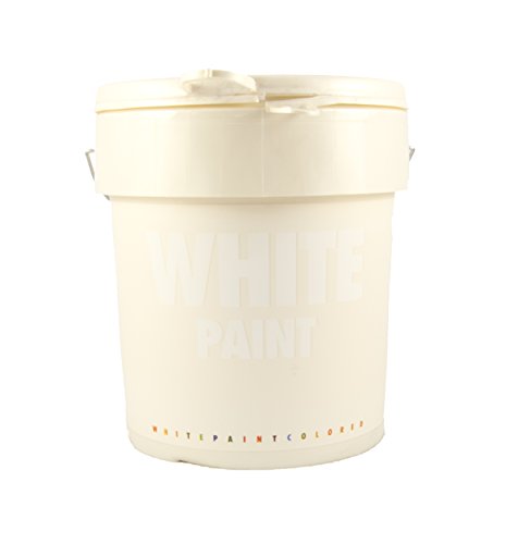 Graesan White Paint 1 Lt Pittura Decorativa Bianca Perlescente