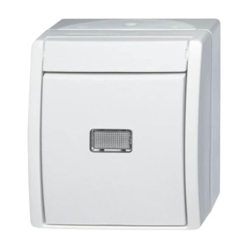 Busch-Jaeger 2601/6 Wgl-54 - Interruttore