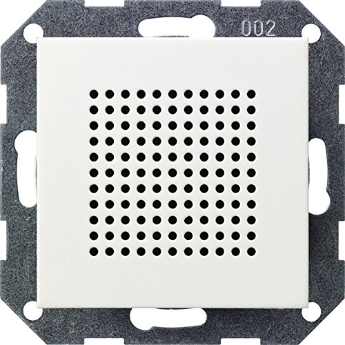 Gira 228203 - Altoparlante Extra Per Radio Rds St55, Colore: Bianco Brillante