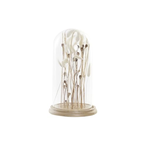 Decoracion Flor Seca Cristal 18X18X32 Espigas