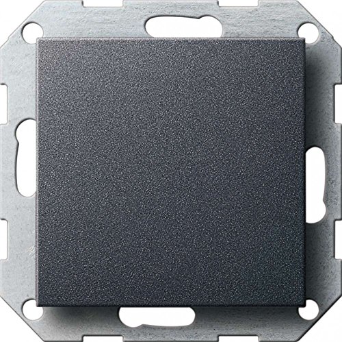 Gira 026828, Coperchio Cieco Con Anello Portante, Sistema 55