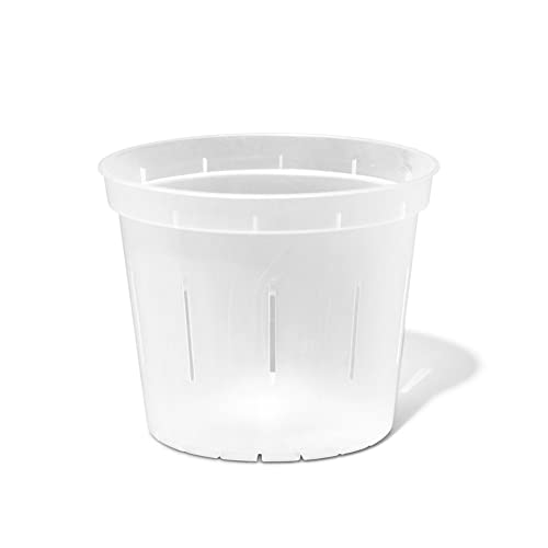 Repotme Vaso Per Piante Da 15,2 Cm, Per Orchidee, Piante Grasse, Piante D'Appartamento, Confezione Da 3, Trasparente