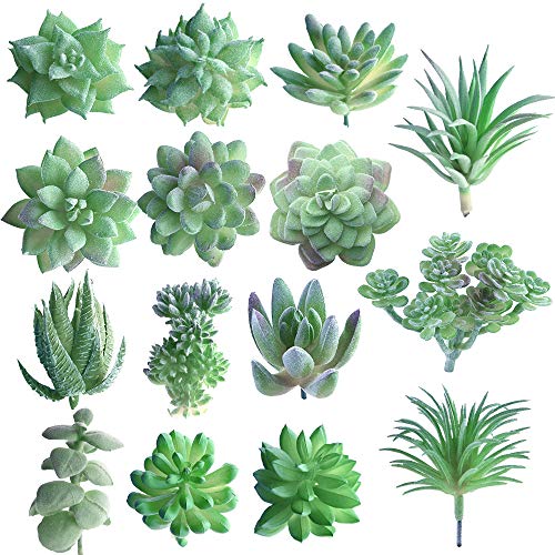Fepito 15 Pz Piante Succulente Artificiali Verde Uncotted Faux Flower Succulente Mini Echeveria Prese Bulk Steli Per La Casa Indoor Fairy Garden Decor